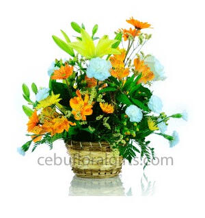 Pia Basket - $46. Traditional woven basket containing orchids, carnations and gerbera daisies.